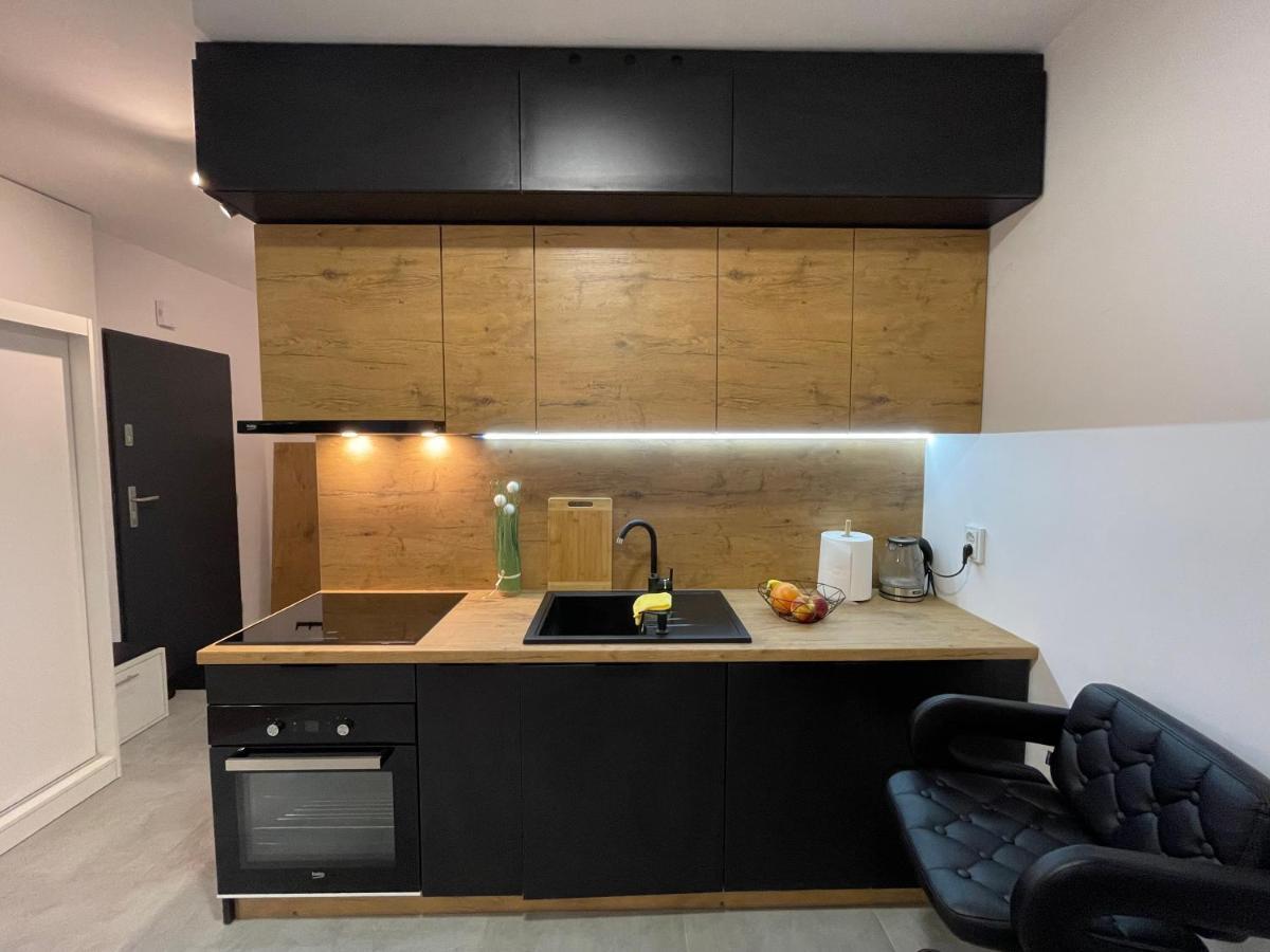 Katowice Apartament Spodek Modrzewiowa 24 Apartment Екстериор снимка